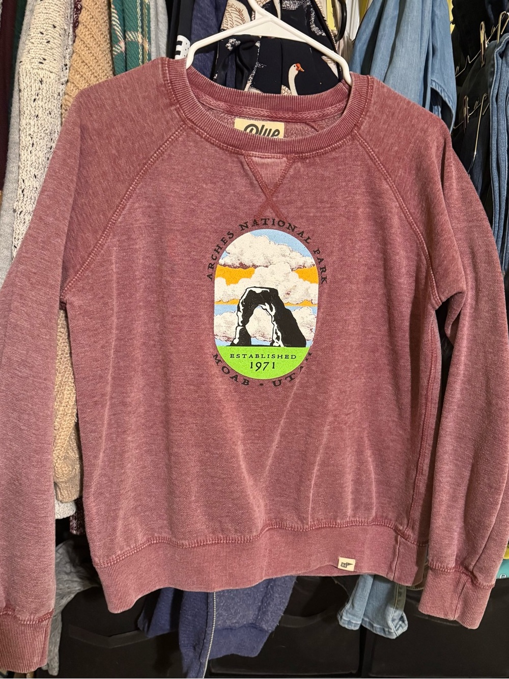 Arches national park sweatshirt